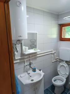 La salle de bains blanche est pourvue d'un lavabo et de toilettes. dans l'établissement Vila Mitrović, à Bajina Bašta