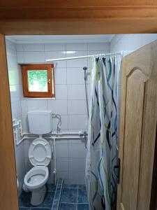 a bathroom with a toilet and a shower curtain at Vila Mitrović in Zaovine +13 photos