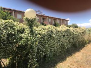 Zahrada ubytování Residence il Tombolo