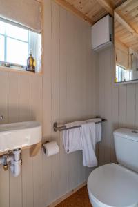 Koupelna v ubytování Enchanting Tiny House with wood burner and hot tub in Cairngorms