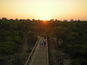 The sunrise or sunset as seen from Az apartmant or nearby