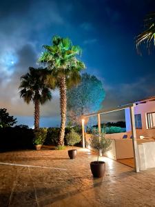 two palm trees in front of a house at night at Villa Only Adults 2 Pax · Piscina Privada · A/C · WIFI · BBQ in Blanes
