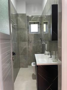 een badkamer met een wastafel, een toilet en een douche bij AMANTIUS APARTMENTS in Borsh