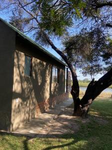 Fotografie z fotogalerie ubytování Kuvira River Camp v destinaci Divundu