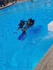 沙姆沙伊赫的住宿－Aida Hotel Sharm El Sheikh，两人在游泳池里