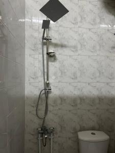 a bathroom with a toilet and a shower in it at Homestay in Cairo