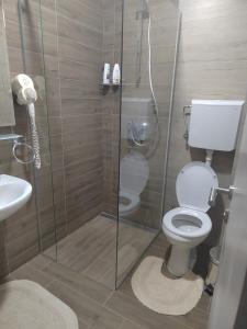 a bathroom with a toilet and a glass shower at APARTMANI VALJEVO in Valjevo +35 photos