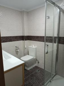 a bathroom with a toilet and a glass shower at Delicia, Sol y mar in Málaga +4 photos