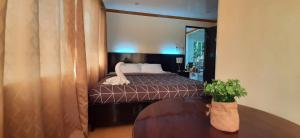 Postel nebo postele na pokoji v ubytování ISLAND VIEW SUITES