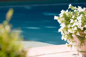 un jarrón lleno de flores blancas sentado en una mesa en Hôtel Le Pré Galoffre en Nimes