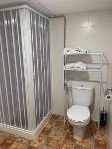 a bathroom with a white toilet and a shower at Albergue Naturmaz in Mazaricos