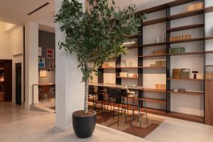 a potted tree in a room with a table at TOC Hotel Las Ramblas in Barcelona