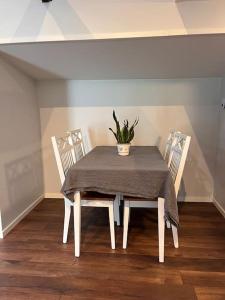 een tafel met twee stoelen en een potplant erop bij Araya Svensson’s Guest House in Falkenberg