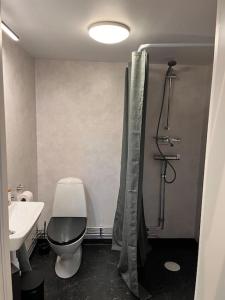 ein Bad mit einem WC, einem Waschbecken und einer Dusche in der Unterkunft Araya Svensson’s Guest House in Falkenberg