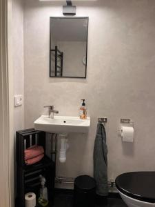 uma casa de banho com um lavatório e um espelho na parede em Araya Svensson’s Guest House em Falkenberg