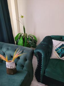 eine grüne Couch in einem Wohnzimmer mit Pflanze in der Unterkunft Lux Suites Supaboma Apartments Embakasi in Nairobi