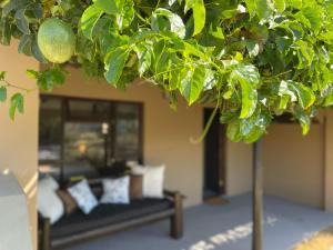 a living room with a couch and a tree at Howberry Hills in Plettenberg Bay