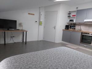 Kuchyňa alebo kuchynka v ubytovaní Studio mezzanine tout confort