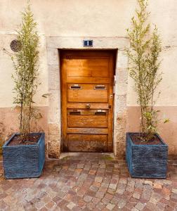 two potted plants in front of a wooden door at Loft i gemelli in Montbéliard