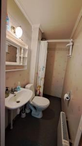 La petite salle de bains est pourvue de toilettes et d'un lavabo. dans l'établissement Sunne Stugcenter 12, à Gräsmark