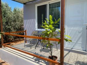 a porch with a table and a plant on it at Vine Veranda in Palaiochora