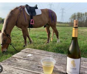 a bottle of wine sitting on a table next to a horse at Nags Rest in Caterham