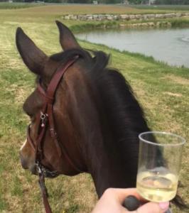 a person holding a glass of wine next to a horse at Nags Rest in Caterham