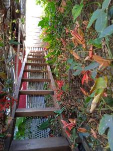 a garden with stairs and plants on the side at Le ti bali Chambre in Saint-Leu