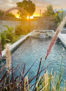 a swimming pool in a yard with a sunset in the background at Villa Dakar in Saint-Pierre