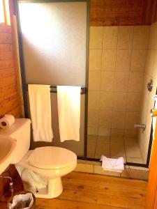 e bagno con servizi igienici, doccia e asciugamani. di Grandpas Hotel & Restaurante a Cartago