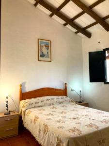 1 dormitorio con 1 cama y TV en la pared en Finca Villa Coral, en Cazalla de la Sierra