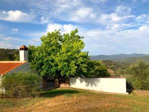 un edificio con un árbol en la cima de un campo en Finca Villa Coral, en Cazalla de la Sierra