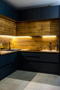 a kitchen with black cabinets and wooden walls at Lidia chalets in Polyanitsa Popovichevskaya