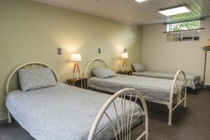 a hospital room with two beds and a window at Vakantiewoning & Fietslogies V E L O, Tussen Hasselt en Maastricht in Bilzen