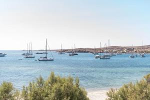 a group of boats in a large body of water at Play Paros in Kampos Paros