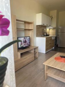a living room with a television and a kitchen at City Residence Apartments Sofia in Sofia