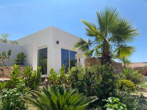 a white house with a palm tree in front of it at Bella Vista Hôtel, Suites & Maisons in Porticcio