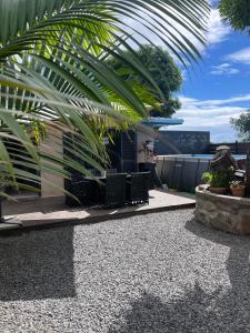 un giardino con ghiaia e una casa con una palma di L'Eden - Villa cosy à Sainte-Clotilde a Sainte-Clotilde