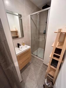 ein Bad mit einer Dusche, einem Waschbecken und einem Spiegel in der Unterkunft Bel appartement climatisé 2 chambres à 20m du Vieux-Port in Marseille