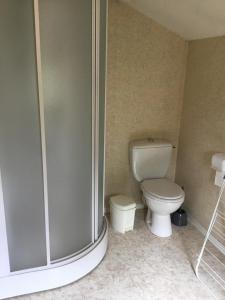 La salle de bains est pourvue d'une douche et de toilettes. dans l'établissement Chambre La noyeraie, à Saint-Nicolas-de-la-Grave
