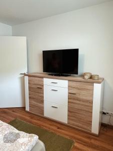 TV a/nebo společenská místnost v ubytování Residenz Villa Sonnenblick + 14 fotografií