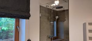 a shower with a glass door in a bathroom at Ferienwohnung Fichtler in Sankt Johann in Tirol