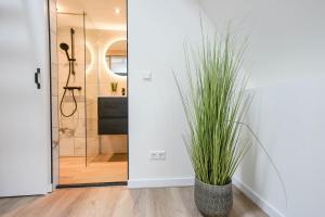 a bathroom with a shower and a potted plant at Romantic 35m2 City Center Suite in Delft