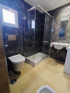 La salle de bains est pourvue d'une douche, de toilettes et d'un lavabo. dans l'établissement Velazquez aeropuerto Terraza, à Malaga