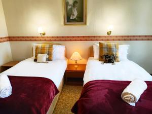 duas camas num quarto de hotel ao lado de um candeeiro em The Falls - Value Rooms at Aultnagar Estate em Lairg