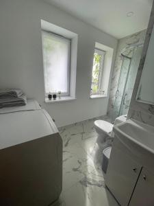 uma casa de banho com um lavatório, um WC e uma janela. em Skalvija Apartment Dreverna em Dreverna
