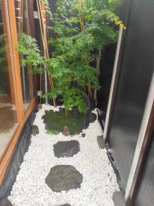 a garden in front of a building with a tree at Momiji hostel in Minami Aso
