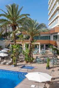Bazén v ubytování Climia Benidorm Plaza nebo v jeho okolí