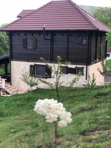 uma pequena casa com um preto e branco em Lazarus House em Berane