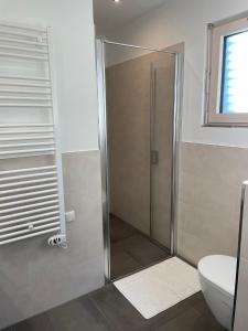 een douchecabine in een badkamer met een toilet bij River Lilly Apartment in Obertraun